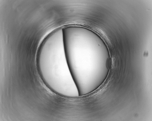 X0000094360780200711021335