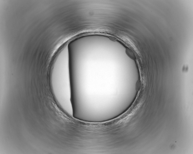 X0000094360781200711021335