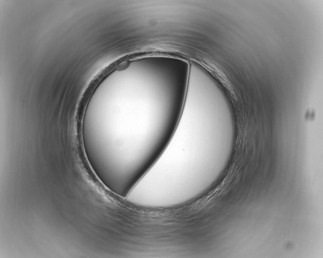 X0000094360784200711021335