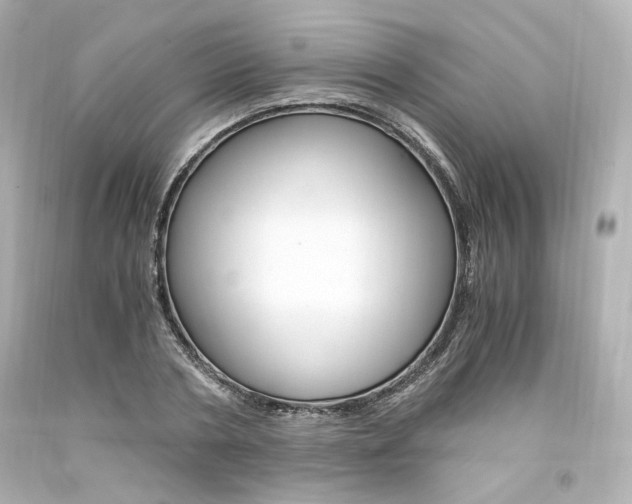 X0000094360786200711021335