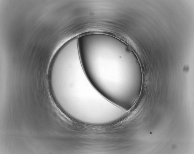 X0000094360787200711021335