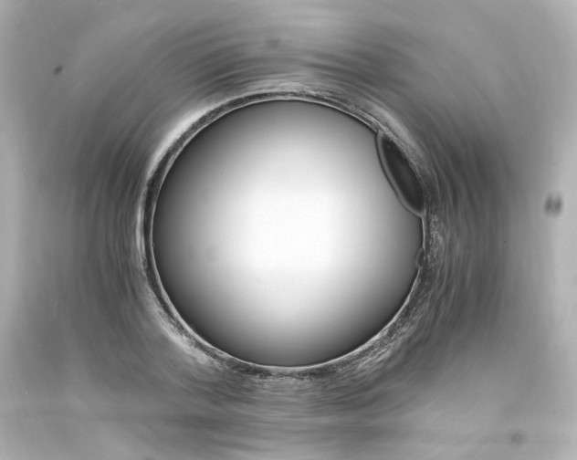 X0000094360788200711021335