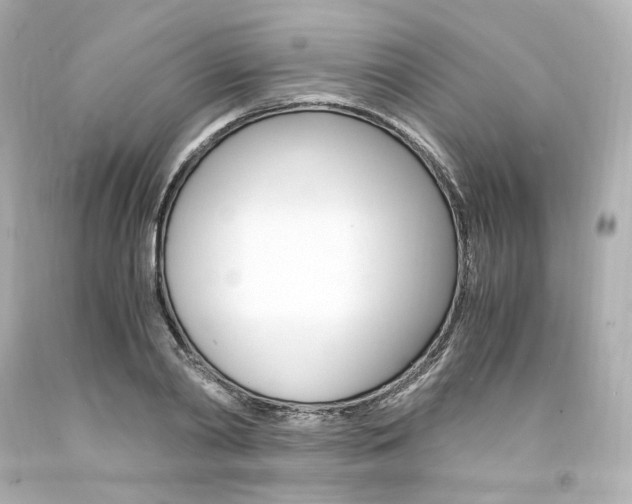X0000094360790200711021335