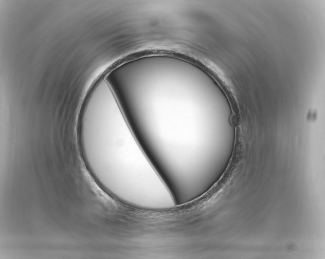 X0000094360791200711021335