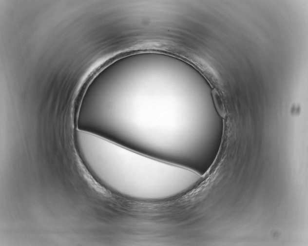 X0000094360792200711021335