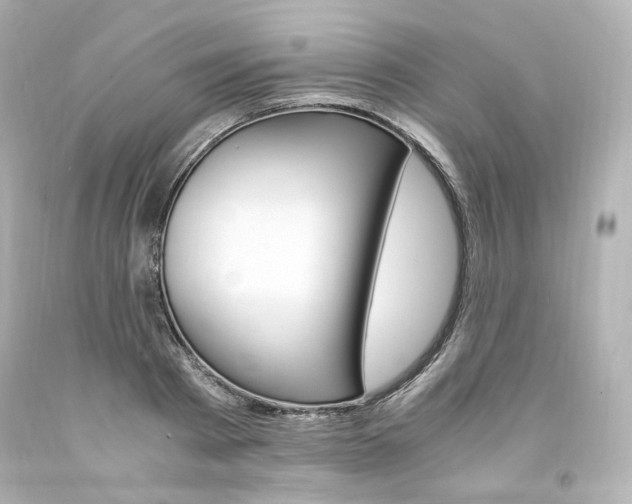 X0000094360793200711021335