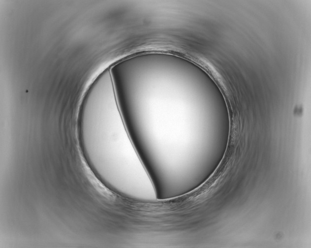 X0000094360795200711021335