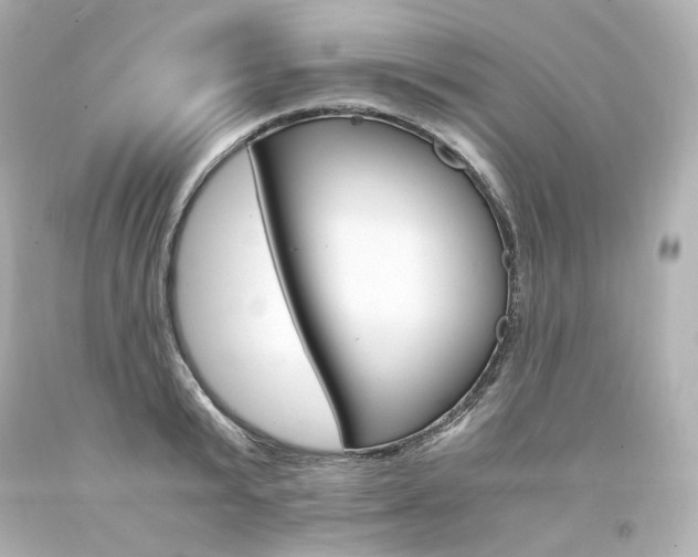 X0000094360799200711021335