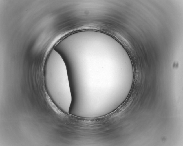 X0000094360800200711021335