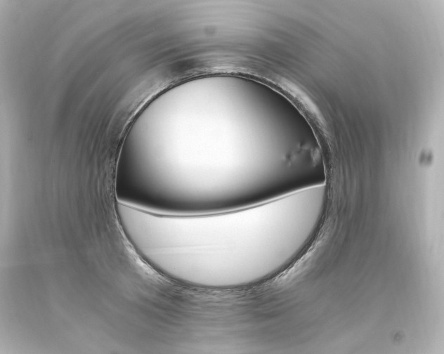 X0000094360801200711021335