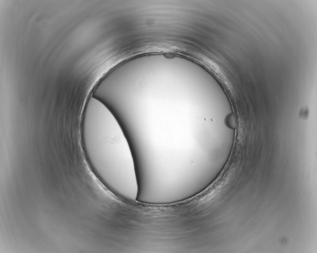 X0000094360802200711021335