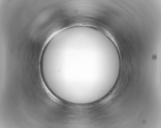 X0000094360803200711021335