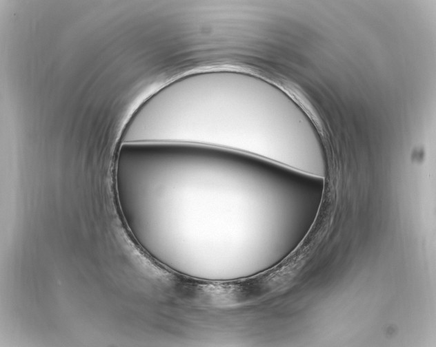 X0000094360805200711021335