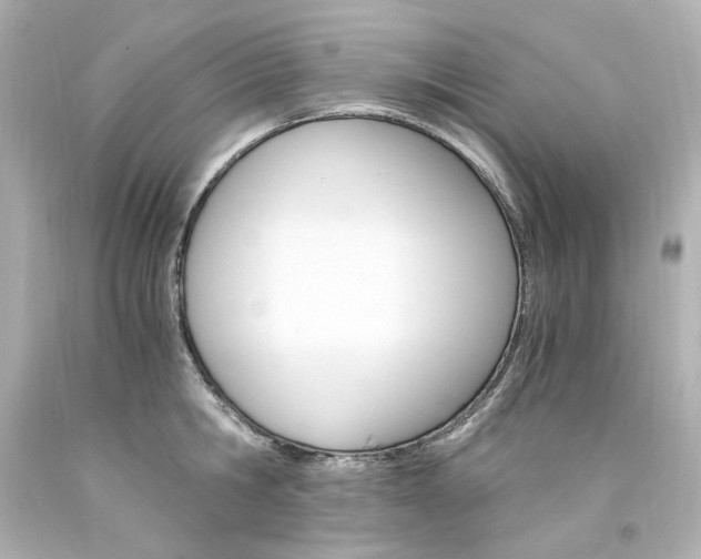 X0000094360806200711021335