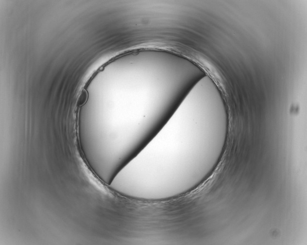 X0000094360808200711021335