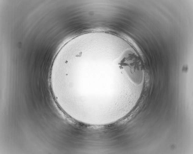X0000094360810200711021335