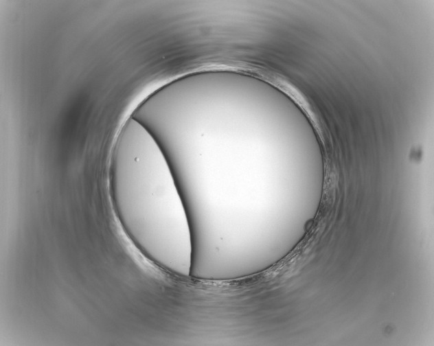 X0000094360811200711021335