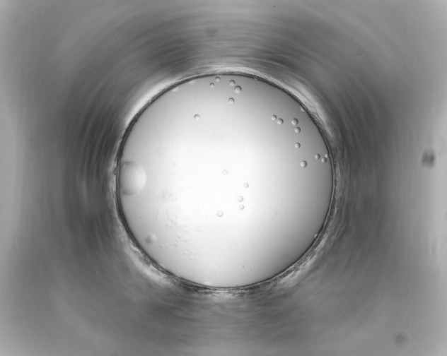 X0000094360814200711021335