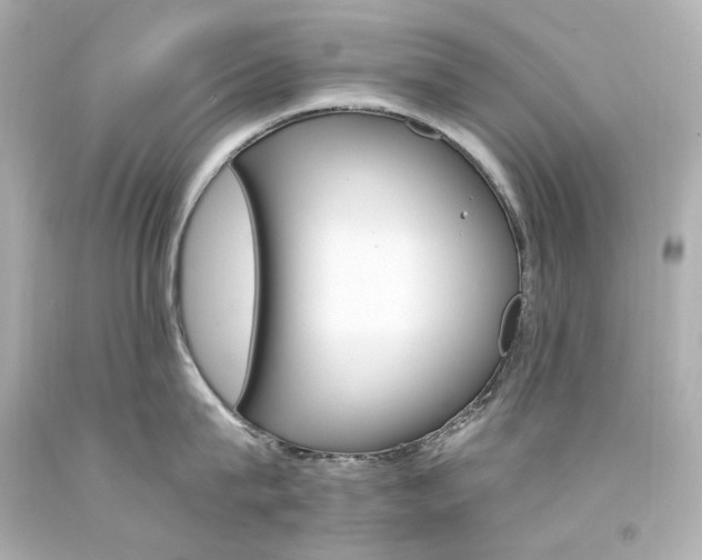 X0000094360815200711021335