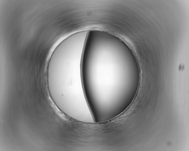 X0000094360816200711021335