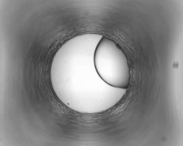 X0000094360818200711021334