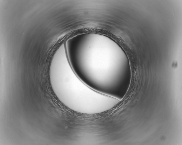 X0000094360822200711021334