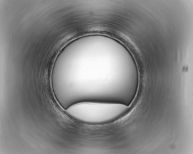 X0000094360825200711021334