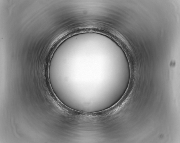 X0000094360826200711021334