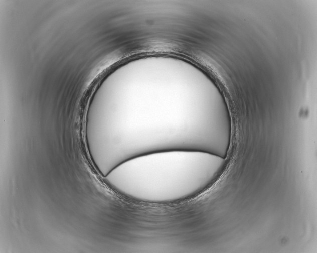 X0000094360827200711021334