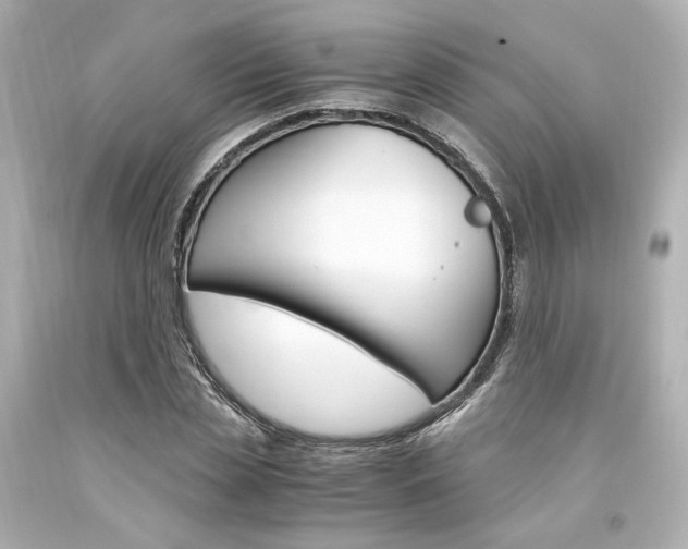 X0000094360829200711021334