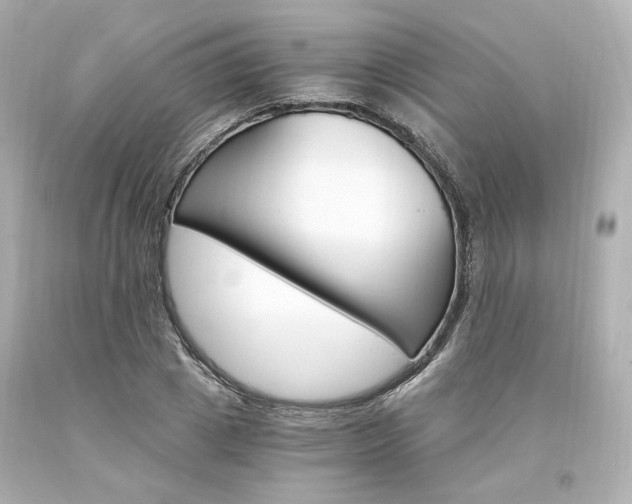 X0000094360833200711021334
