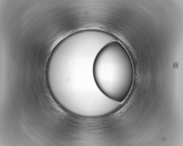 X0000094360834200711021334