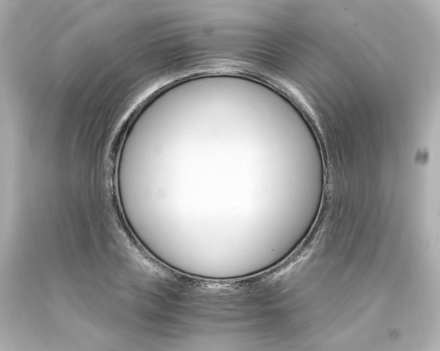 X0000094360835200711021334