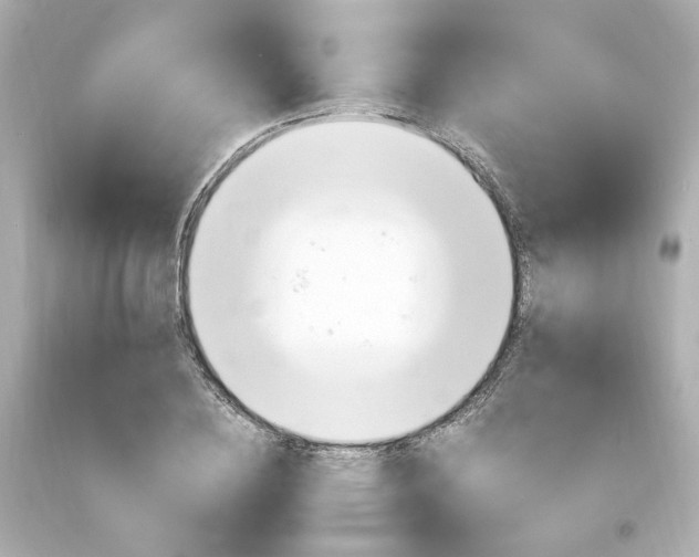 X0000094360836200711021334
