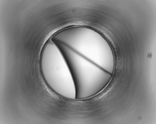 X0000094360837200711021334