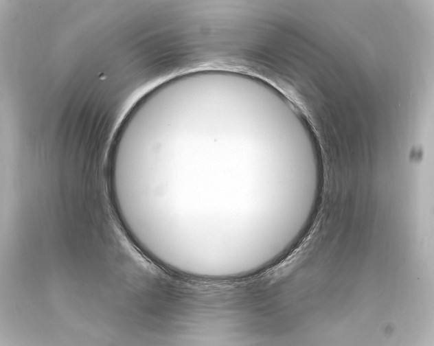 X0000094360838200711021334