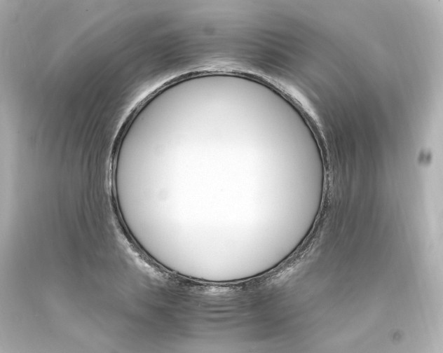X0000094360839200711021334
