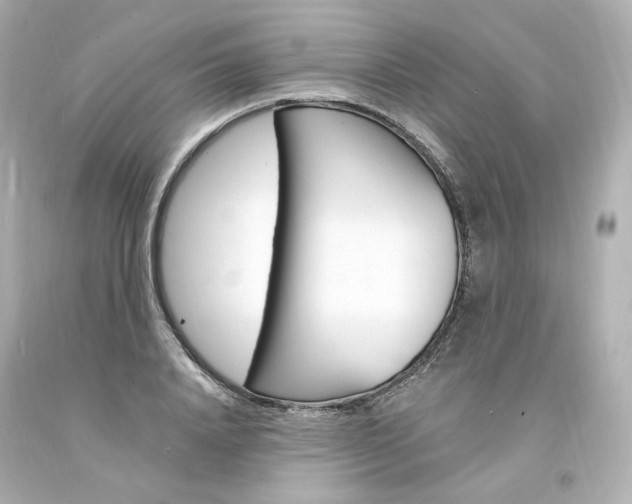 X0000094360840200711021334