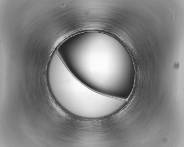 X0000094360842200711021334