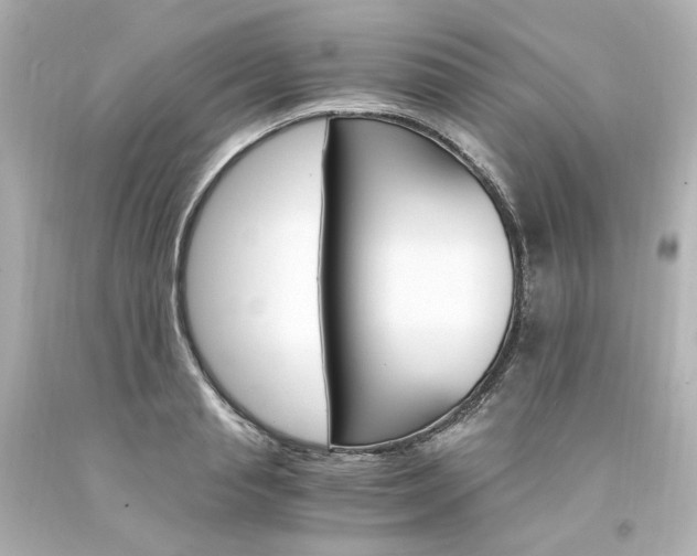 X0000094360845200711021334