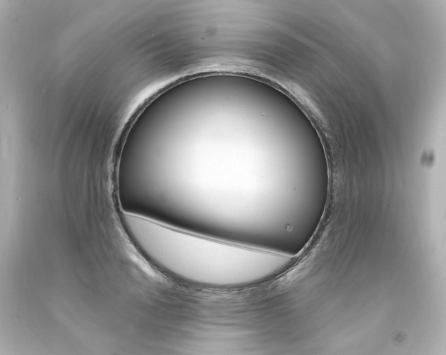 X0000094360846200711021334