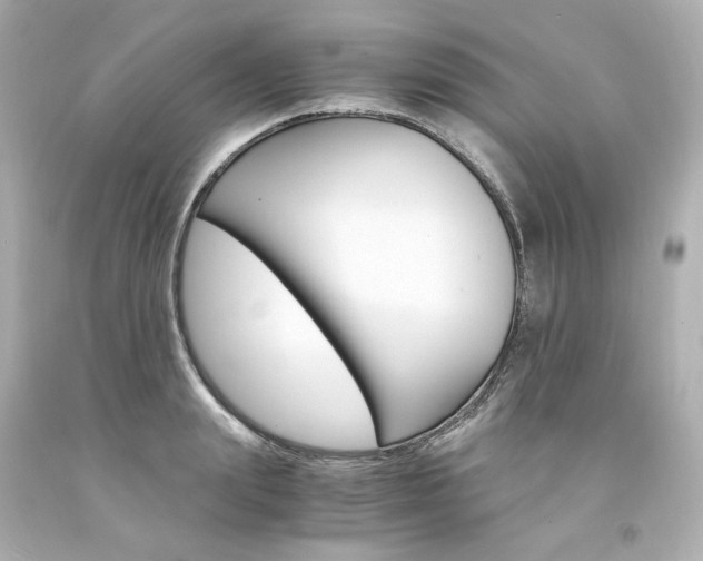 X0000094360847200711021334