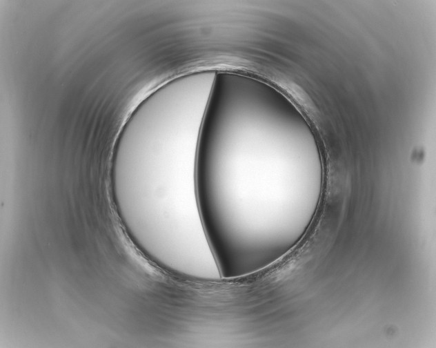 X0000094360850200711021334