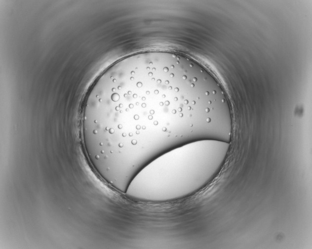 X0000094360851200711021334