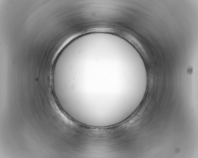 X0000094360852200711021334