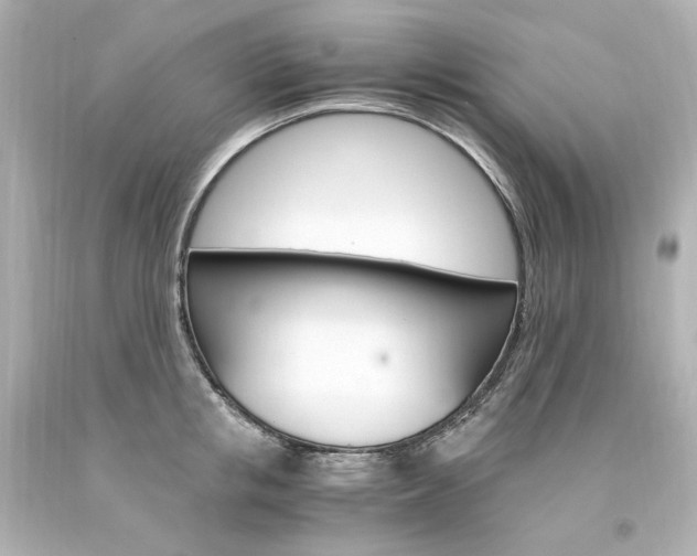X0000094360853200711021334