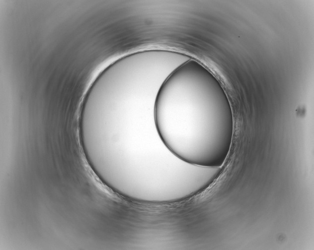 X0000094360854200711021334