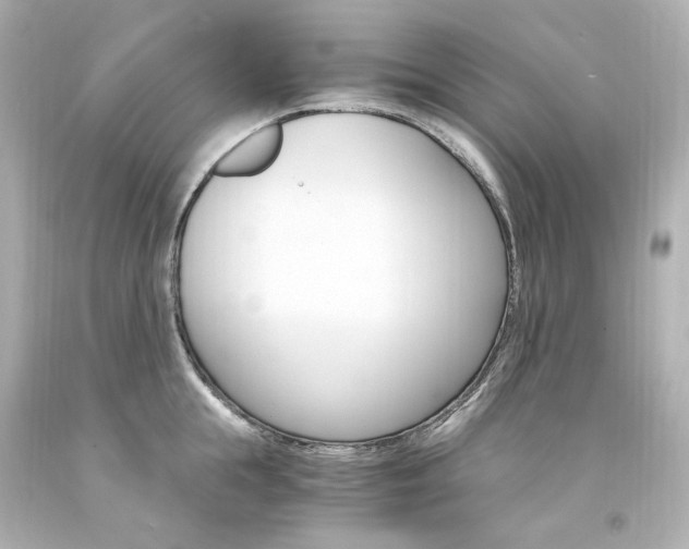 X0000094360855200711021334