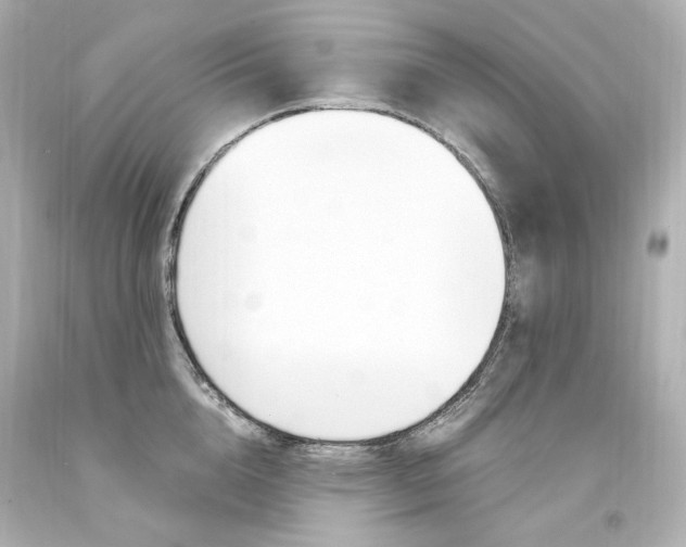 X0000094360856200711021334