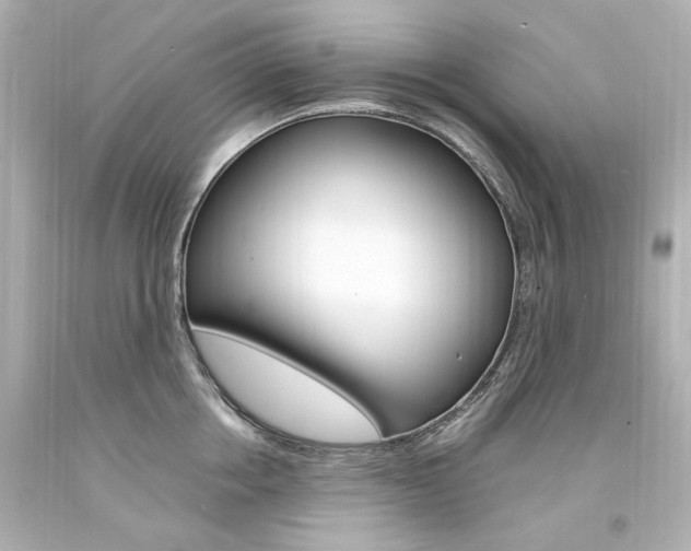 X0000094360858200711021334